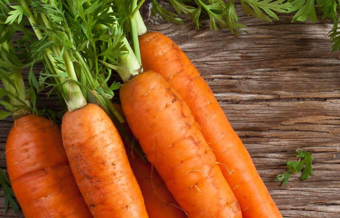 Ce semis d’octobre souvent oublié garantit pourtant des feuilles tendres tout l’hiver !